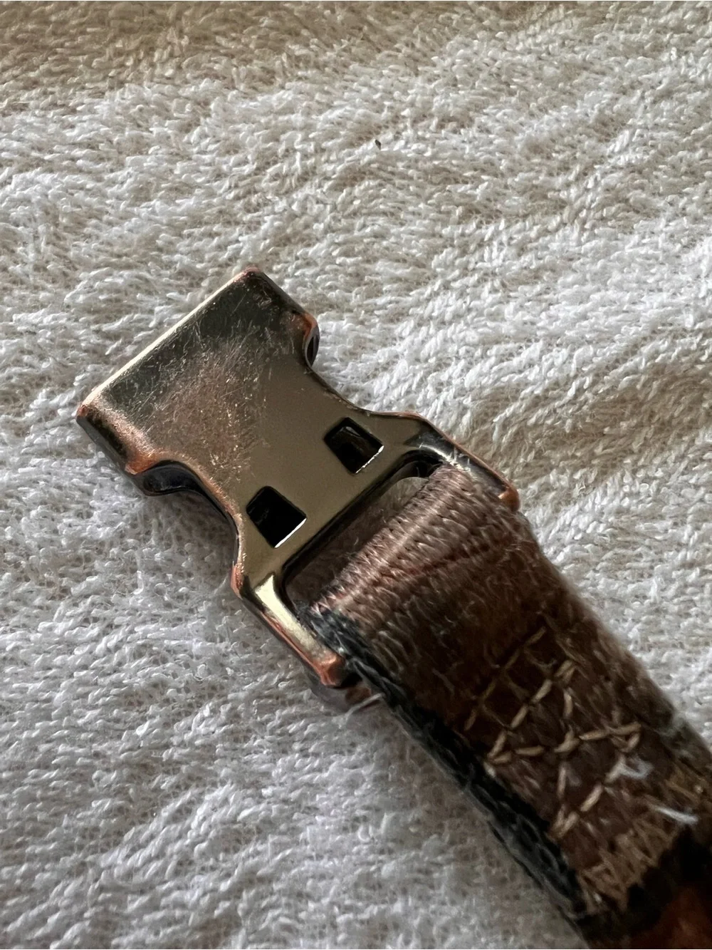 Vibrant Life Camo Dog Collar-sanitized